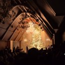 판교역로226번길 | 경기도웨딩홀 W스퀘어컨벤션 방문, 뷔페 생화 등 후기