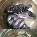 코지부호 | 돌돔벵에돔매운탕같은 영화 감상을 썼다
