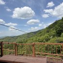 짚라인 용인 티스토리