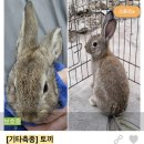 조재진 동물병원 이미지