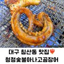 청정숯불아나고 티스토리