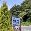 소호로 | 울산 소호자연누리펜션 평상 대여 내돈내산 후기