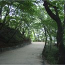 토함정 Daum카페