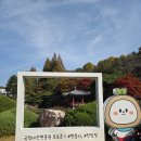 현충원로(유성-19) | 19개월 아기랑 주말 가을나들이 추천, 국립대전현충원, 대전 단풍명소, 대전 갈만한곳