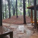 창원합성동고분군2 이미지