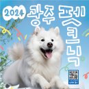 댕블리냥 이미지