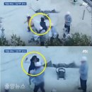 한진조경 이미지