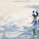 광광 농원 이미지