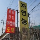 지니농원 이미지