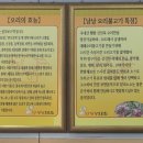 낭낭오리집 돌산점