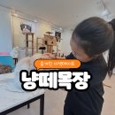 냥떼목장 | 냥떼목장 일산 아이랑 힐링