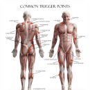 네츄럴 바디 휘트니스 이미지