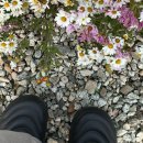 야시다방 이미지