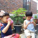 하우스유 이미지