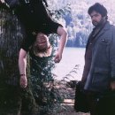 플래시드인 이미지