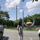 일단정지카센타 이미지