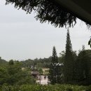 (주)홀로섬닷컴 | 나 홀로 떠나는 4박 6일 싱가포르 여행 3