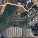 남동중앙공인중개사사무소 이미지