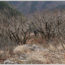 백암-2 이미지