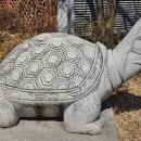 구산동 21-1 이미지