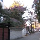 서울효자동 이미지