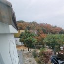 별장행복펜션민박 | 영흥도펜션 즐길 거리 너무도 많아 행복했던 여행 :) 영흥도스크린골프독채펜션&amp;민박 💗