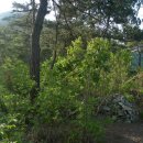 화령목욕탕 이미지