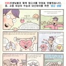 루키수학 이미지