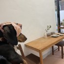 코코정비 이미지