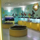 양평곤충박물관 이미지