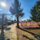 이른아침호숫가 이미지