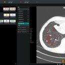 라인소프트 이미지