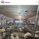 신등농장 이미지