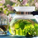 최강한의원 이미지