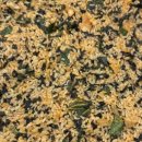 조마루(신설동점) 이미지