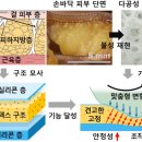 사람 손 같은 로봇 손.. 인공피부 개발 이미지