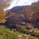 영동목장 이미지