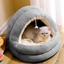 우리개 우리냥이 이미지