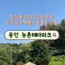 경기도 용인시농촌테마파크 놀이터 이미지