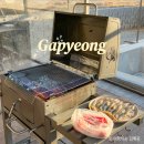경기도 글램핑 추천 가평 BD7S 북두칠성 글램핑 펜션 내돈내산 후기 (글램핑 2호, 뉴진스 방문한 숙소)