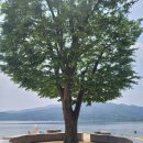 세미안 - 고양시 일산동구 | 세미안