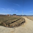 양지바른 이미지