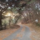 배미자농장 이미지