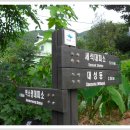 한신민박 이미지