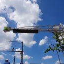 주정차36 이미지