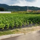 사암부동산공인중개사사무소 이미지