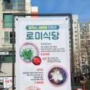 로미식당 이미지