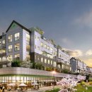 더모스트3 이미지