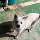 강동천사약국 | 26년 1월