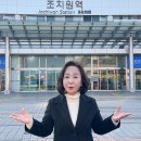 송아영 카카오 검색결과